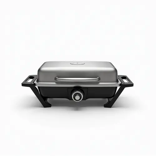 Скари / Барбекюта