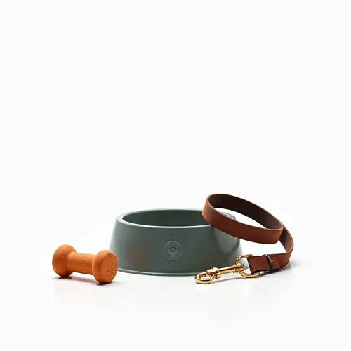 Домашни Любимци