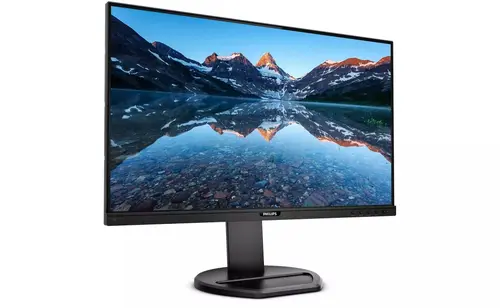 Монитор, Philips 243B9, 23.8" WLED IPS, 1920x1080@75Hz, 4ms GtG, 250cd/m2, 1000:1, DC50M:1, Adaptive Sync, FlickerFree, Low Blue Light, 2Wx2, Tilt, Height Adjust, Pivot, Swivel, D-SUB, HDMI, DP, USB Hub - image 1