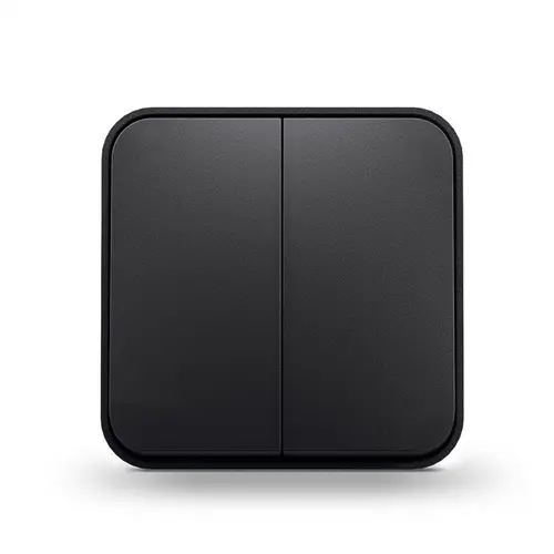 ДВОЕН СЕРИЕН КЛЮЧ ЗА ОТКРИТ МОНТАЖ 10А VF-BNS12-BG BINERA VIDEX - ГРАФИТ - image 1