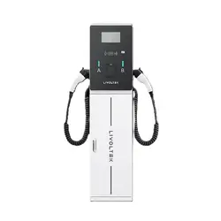 Зарядна станция LIVOLTEK B1U2ME2EOM5S AC Bush EV charge, 2x 22kW, Type2