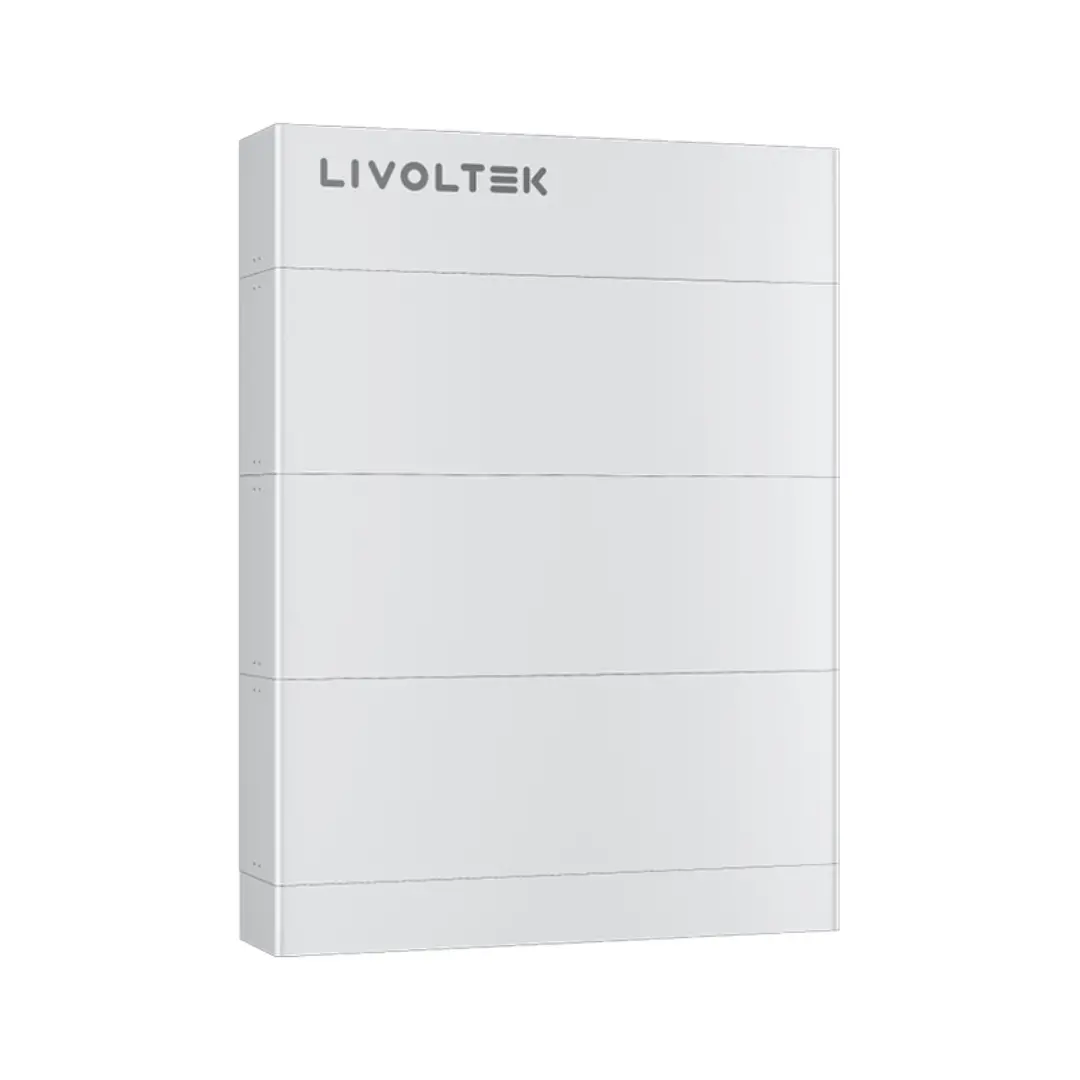 Kонтролна кутия LIVOLTEK BHF-C01ZY, High Voltage Control Box, BHF-S series, IP65