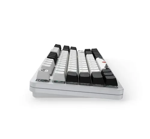 Геймърскa механична клавиатура Dark Project 87 Fuji V2 RGB TKL - G3MS Sapphire Switches, ABS - image 6