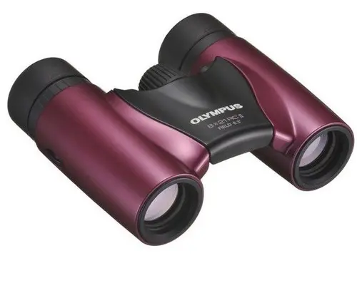 BINOCLU 8X21 RC II METAL MAGENTA OLYMPUS - 1