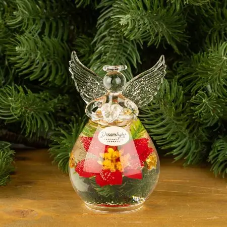 Стъклен ангел - image 3
