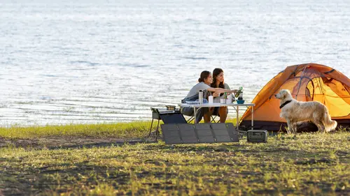 Ecoflow портативен соларен панел 60W Portable Solar Panel (Type-C) - image 6