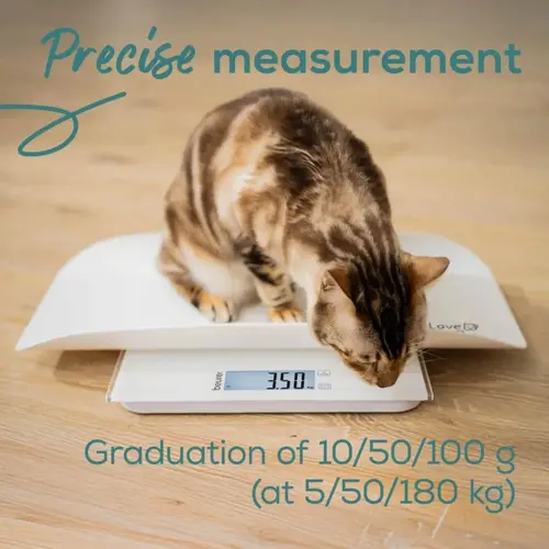 Везна, Beurer PP 170 Polly Multifunctional pet scale;Detailed graduation (10 g to 5 kg, 50 g to 50 kg, 100 g to 180 kg);Easy-to-read LCD display - image 3