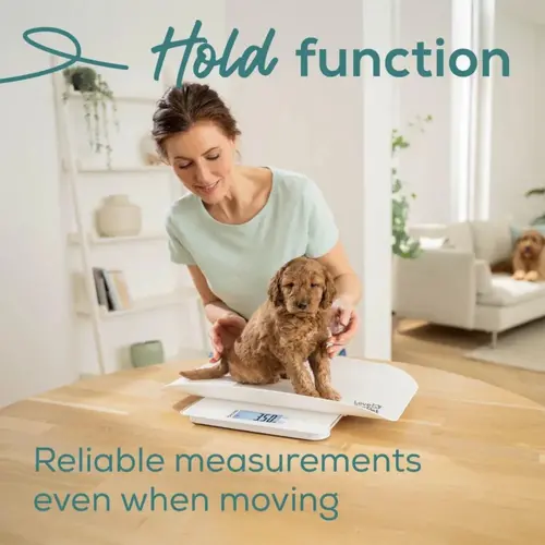 Везна, Beurer PP 170 Polly Multifunctional pet scale;Detailed graduation (10 g to 5 kg, 50 g to 50 kg, 100 g to 180 kg);Easy-to-read LCD display - image 4