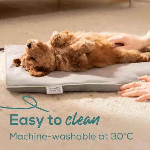 Термоподложка, Beurer PP 210 Lilli Small heating mat for dogs and cats; Proven safety; Integrated bite protection on the power cable&protected heating element; Machine-washable cover and waterproof heating element - image 2