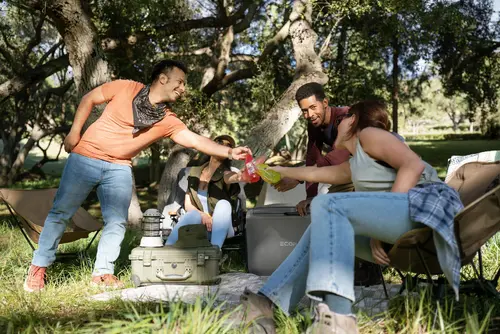 Ecoflow Преносим хладилник с фризер Portable Fridge Freezer GLACIER Classic 45L - image 10