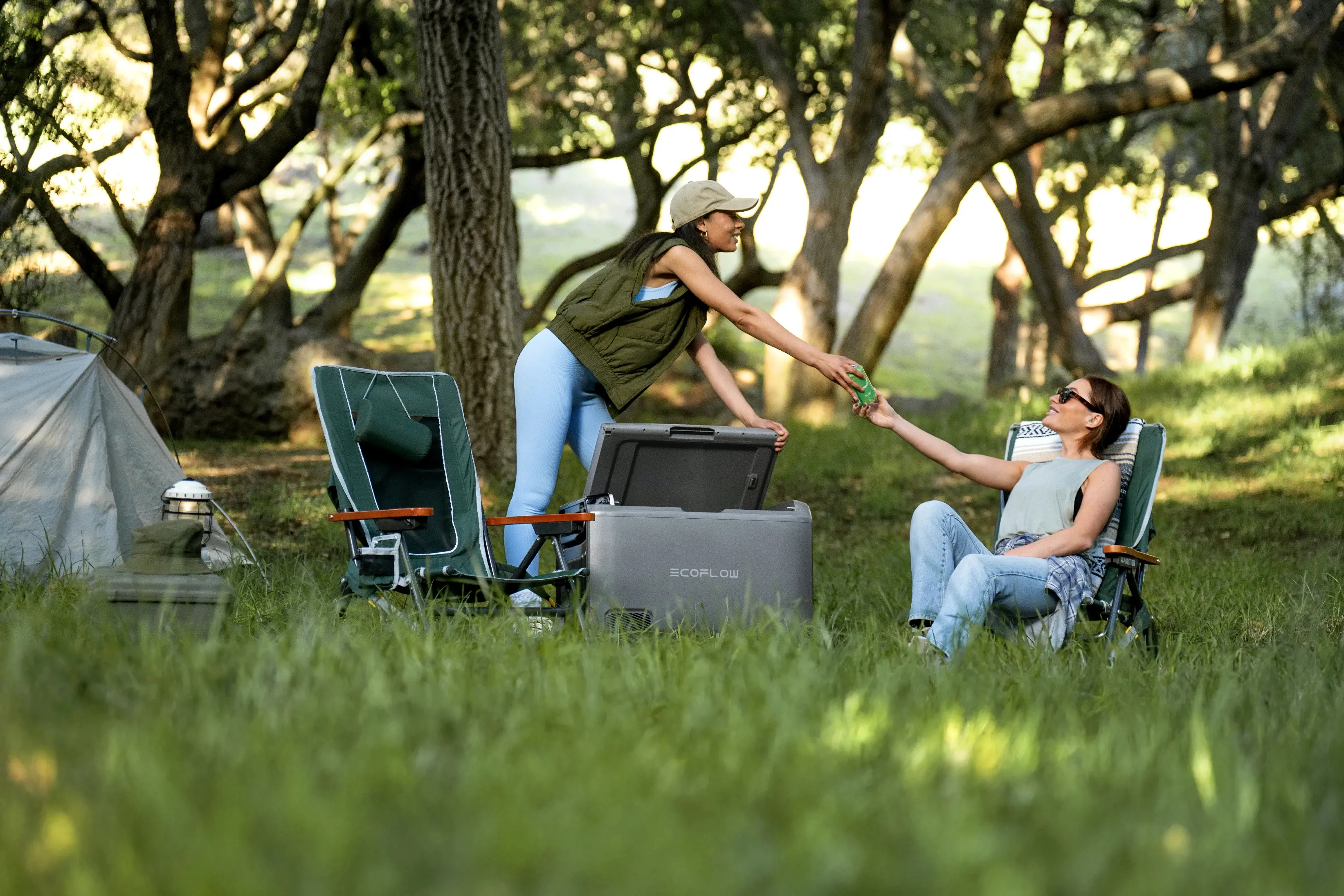 Ecoflow Преносим хладилник с фризер Portable Fridge Freezer GLACIER Classic 45L - image 13
