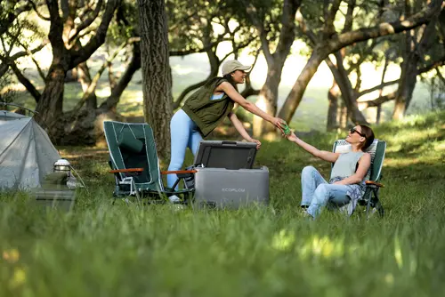 Ecoflow Преносим хладилник с фризер Portable Fridge Freezer GLACIER Classic 45L - image 13