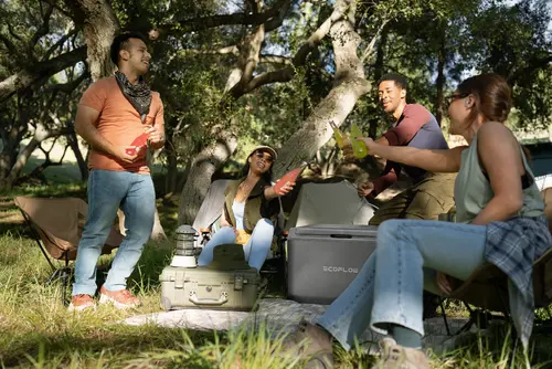 Ecoflow Преносим хладилник Portable Fridge GLACIER Classic 35L - image 19