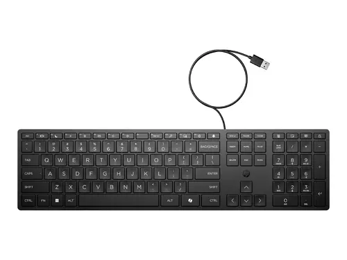 HP 320K Wired Keyboard SmartBuy (EN) - image 13