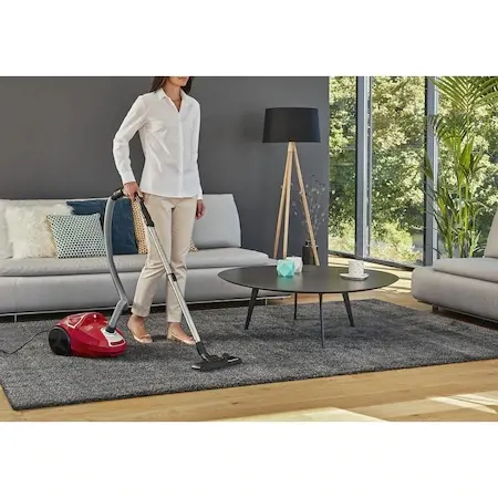 Ηλεκτρική σκούπα, Rowenta RO3953EA, Compact Power parquet ACAA, 75db, σακούλα H+, κεφαλή αναρρόφησης SPA upgrade, TTM + XL με βούρτσα, εργαλείο για - 9