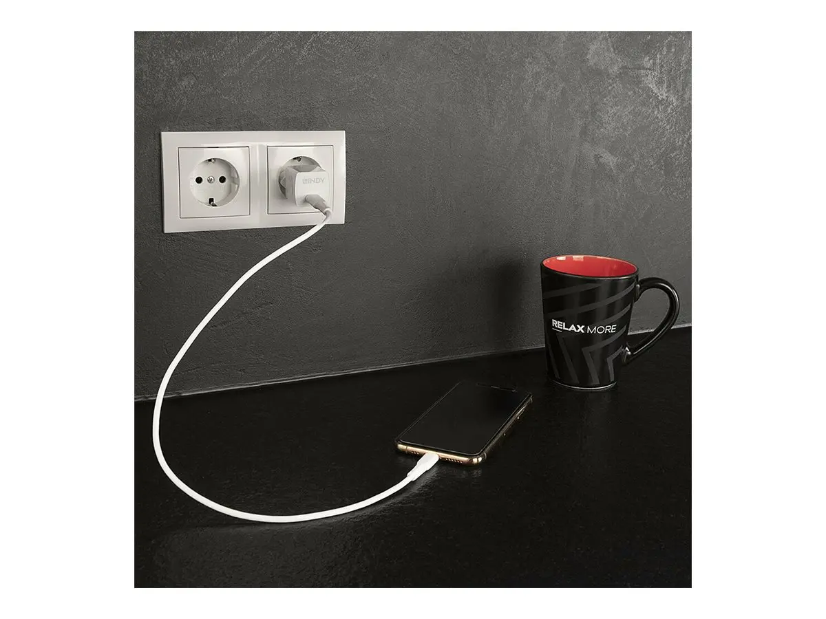 ЗАХРАНВАЩ АДАПТЕР LINDY - USB-C - 20W - Power Delivery 3.0 - 100-240VAC - 50/60Hz - 0.6A - White - PN 73410 - image 2