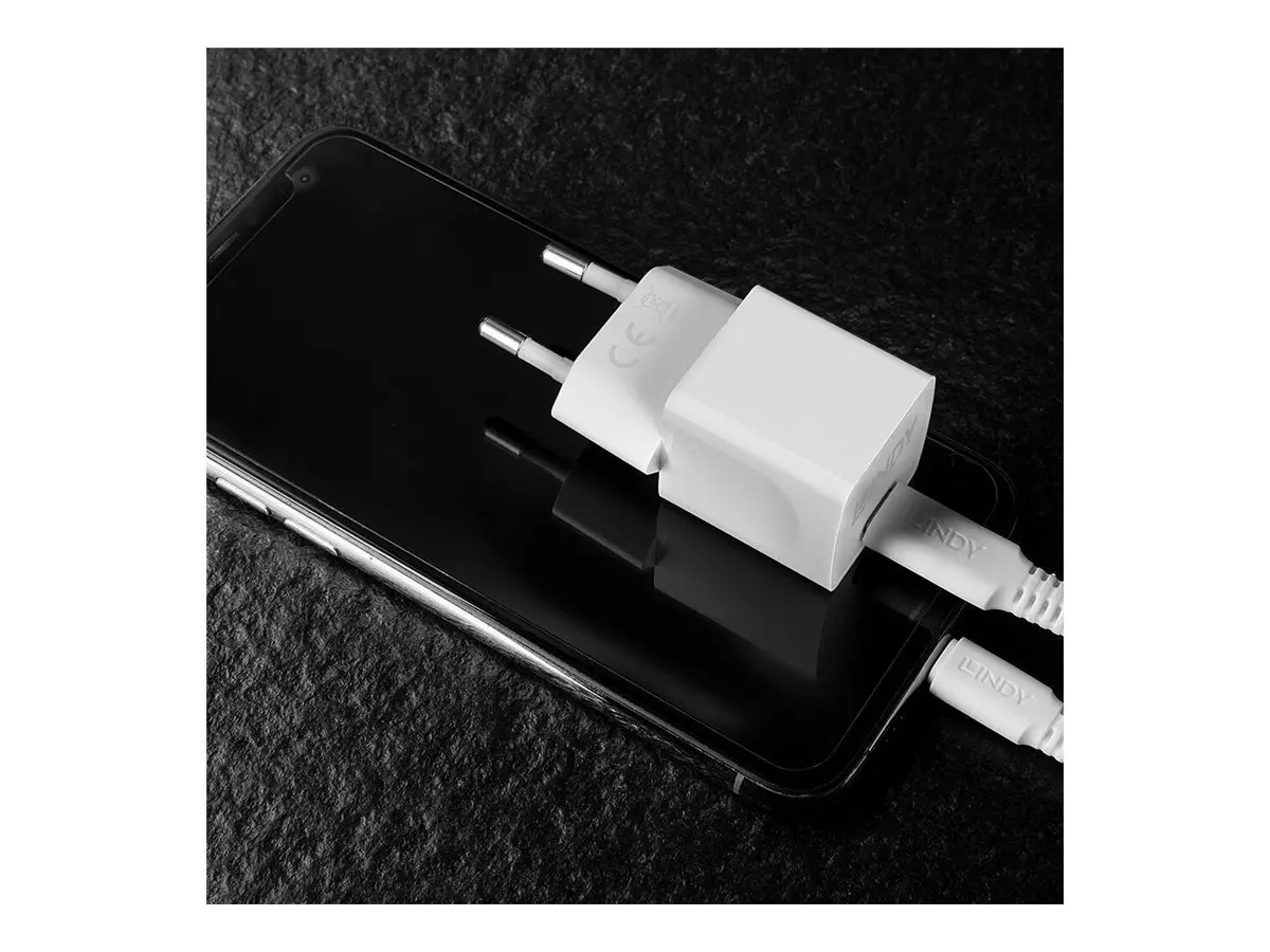ЗАХРАНВАЩ АДАПТЕР LINDY - USB-C - 20W - Power Delivery 3.0 - 100-240VAC - 50/60Hz - 0.6A - White - PN 73410 - image 3