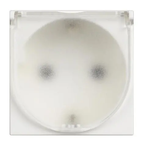 Πρίζα Schuko 2P+E με καπάκι Classia Legrand - λευκό