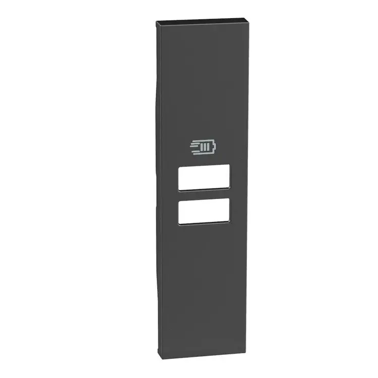 Μονομοδουλική πρόσοψη USB LN KG13C LIVING NOW BITICINO - μαύρο