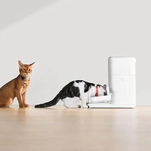 CatLink Смарт автоматична хранилка за котка Automatic Feeder Fresh 2 F04 Standard - image 5