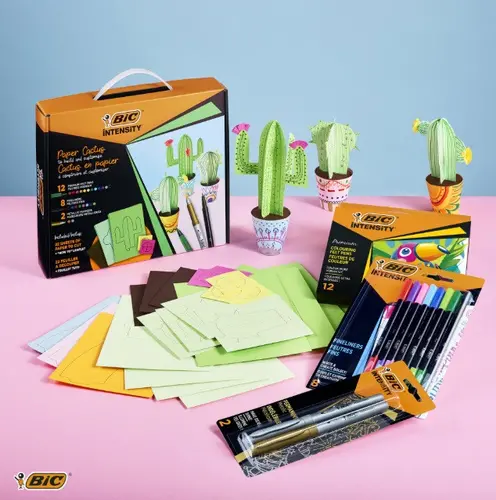 Set mixt de colorat Cactus BIC - 2