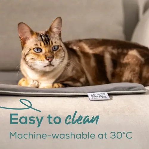 Термоподложка, Beurer PP 220 Sammy Large heating mat for dogs and cats; Proven safety; Integrated bite protection on the power cable&protected heating element; Machine-washable cover and waterproof heating element - image 2