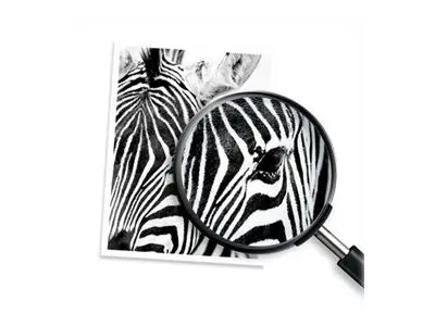 HP 308 Tri-color Original Ink Cartridge - image 3