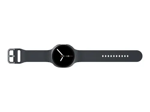 SAMSUNG SM-L330F Watch8 BT 44mm Gray - image 4