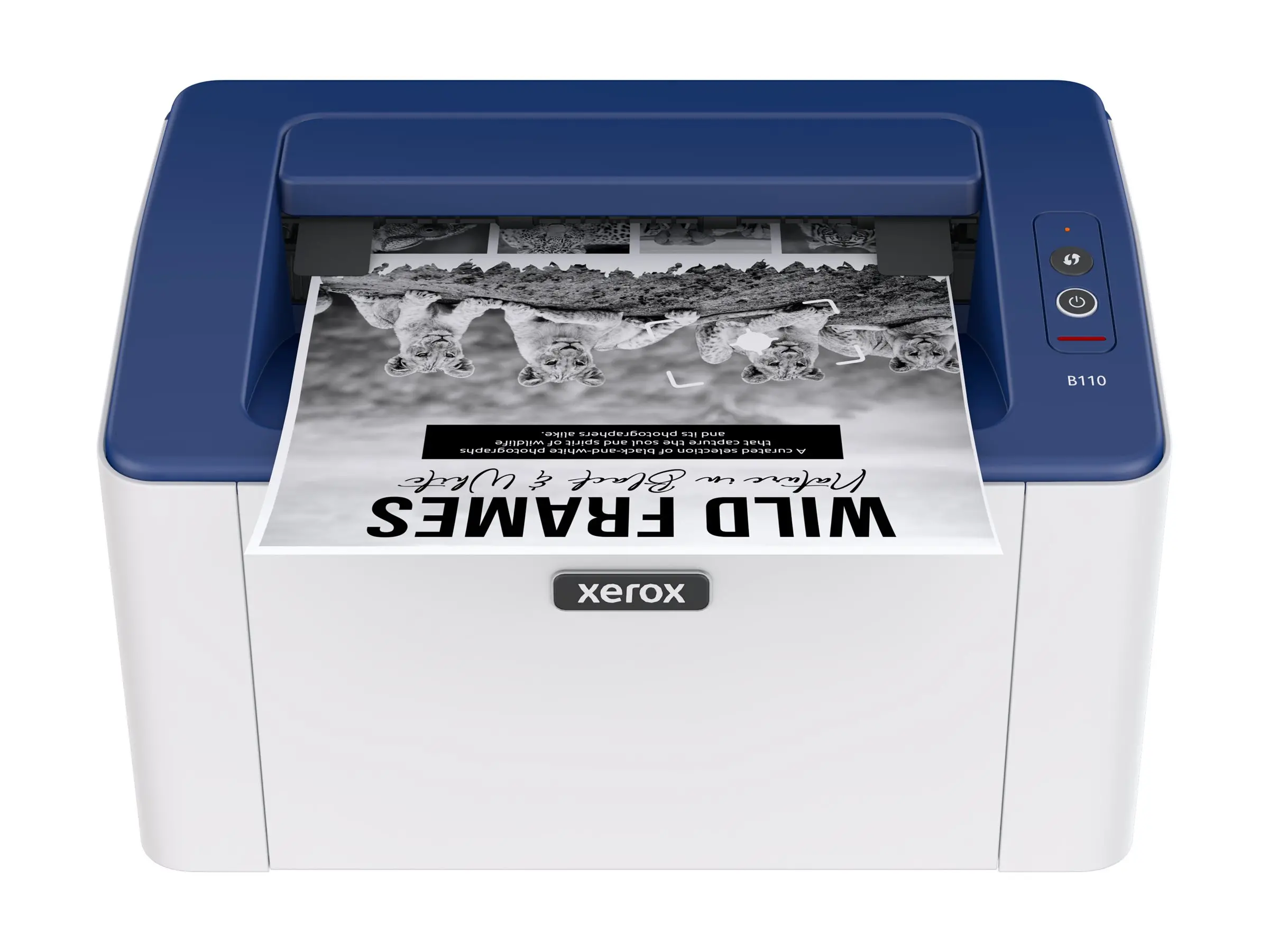 Imprimantă laser, Xerox B110 Mono Printer - image 2