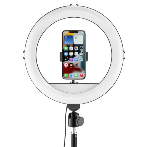 HAMA LED Лампа "SpotLight Steady 120 III" - image 18