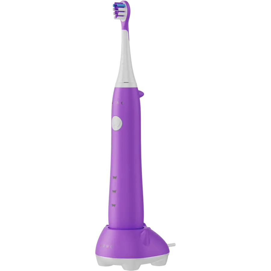 Wireless Tooth Brush, Violet, 3 Brush Heads, 600mAh, Function: Sensive, Clean, Whitening, Sweep, Smart Remind