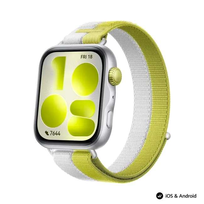 Часовник, Huawei Watch Fit 5 Niki-B19W Silver - image 1