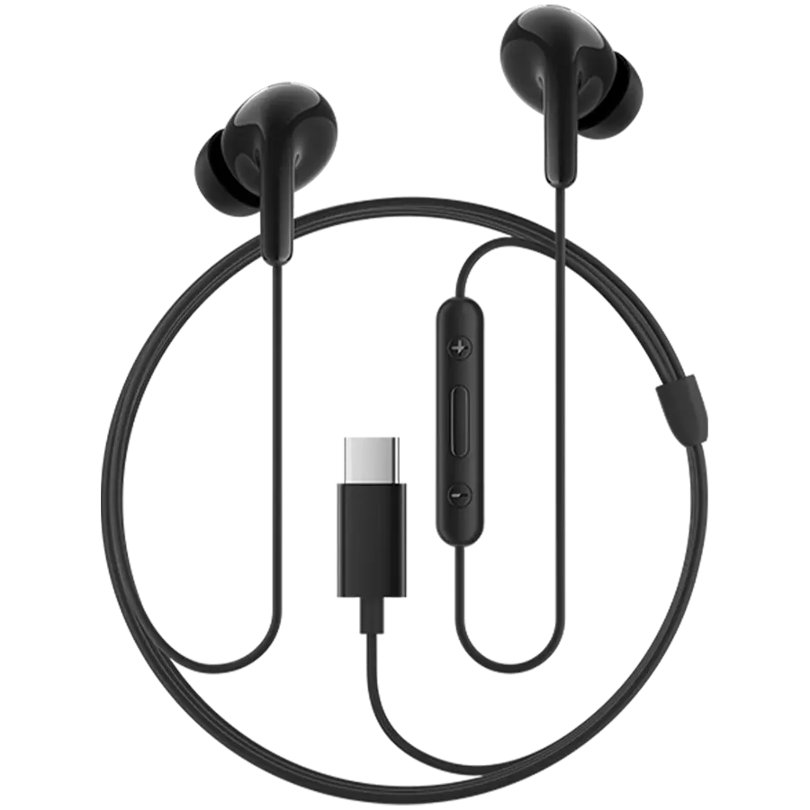 Xiaomi Type-C Earphones_Black - image 1