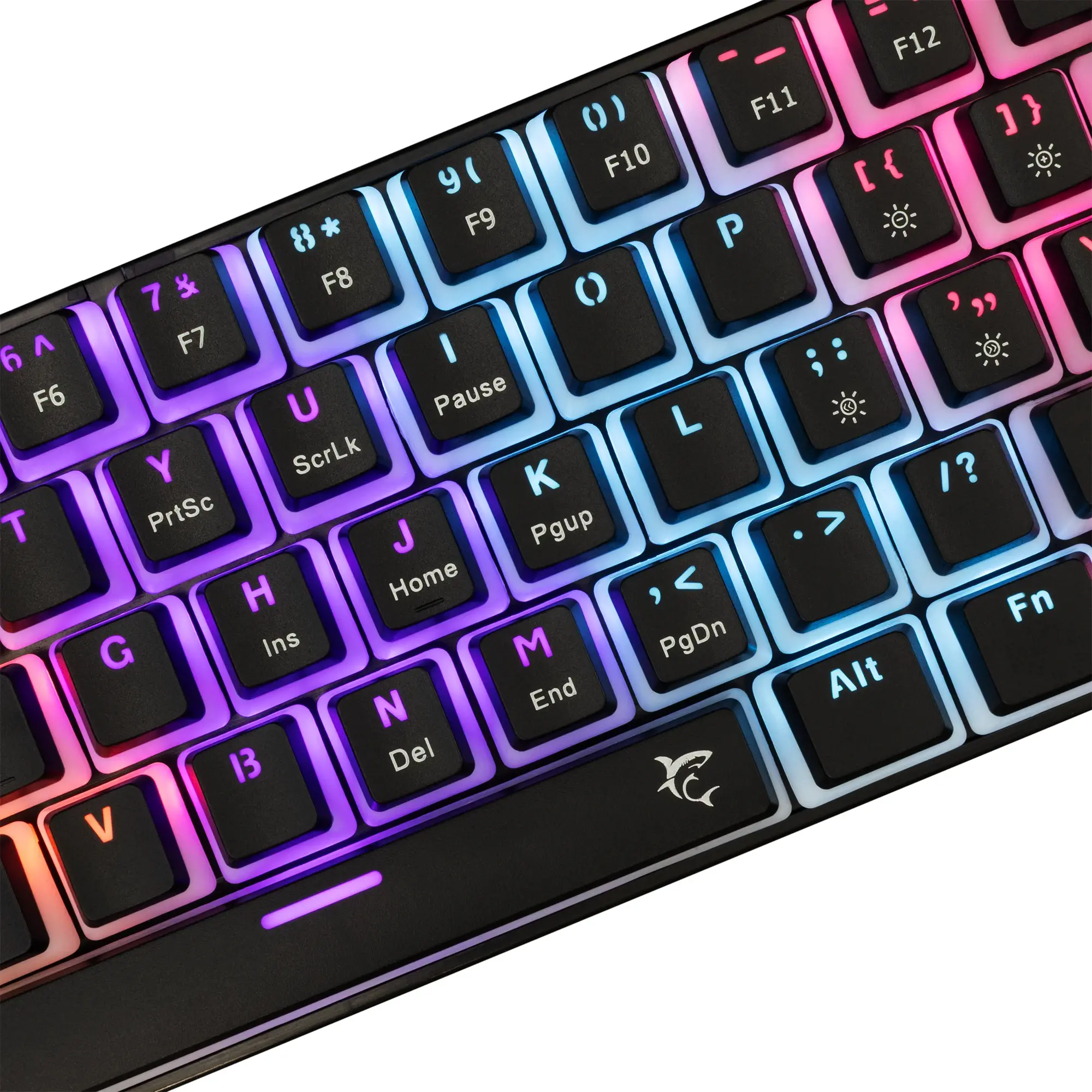 White Shark геймърска механична клавиатура Gaming Mechanical Keyboard ASHIKO 2 - Blue Switches (English US), Black - image 2