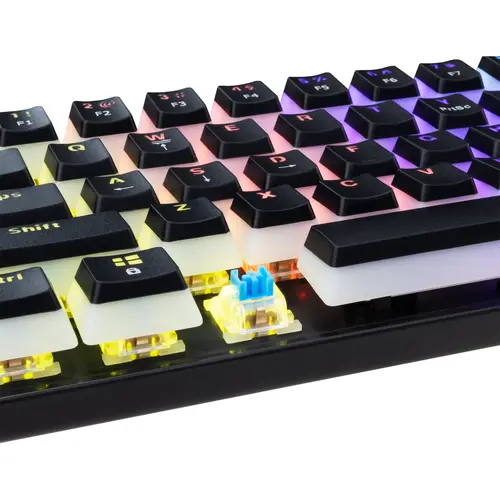 White Shark геймърска механична клавиатура Gaming Mechanical Keyboard ASHIKO 2 - Blue Switches (English US), Black - 4