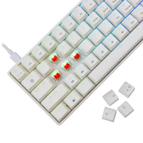 White Shark геймърска механична клавиатура Gaming Mechanical Keyboard SHINOBI 2 - YUSYA 5P Red Switches (English US), White - 4