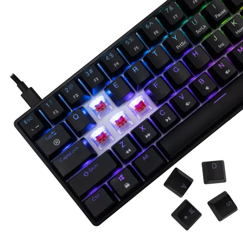 White Shark геймърска механична клавиатура Gaming Mechanical Keyboard SHINOBI 2 - YUSYA 5P Red Switches (English US), Black - 3