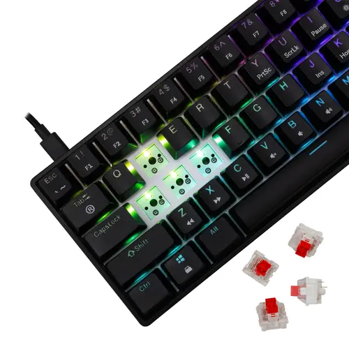 White Shark геймърска механична клавиатура Gaming Mechanical Keyboard SHINOBI 2 - YUSYA 5P Red Switches (English US), Black - 4
