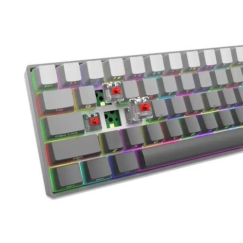 White Shark геймърска механична клавиатура Gaming Mechanical Keyboard NUNCHAKU - Red Switches (English US), Grey - image 4