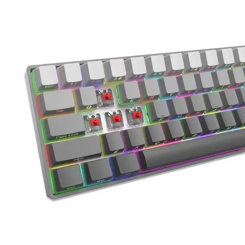 White Shark геймърска механична клавиатура Gaming Mechanical Keyboard NUNCHAKU - Red Switches (English US), Grey - image 5