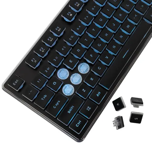 White Shark геймърска клавиатура Gaming Keyboard TACHI - Low-Profile (English US), Black - image 3