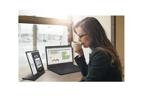 Монитор, Lenovo ThinkVision M15 15.6" FHD, IPS, 1920x1080, 6ms, 1000:1, 250 nits, USB Type-C, Tilt, Height Adjust Stand - image 10