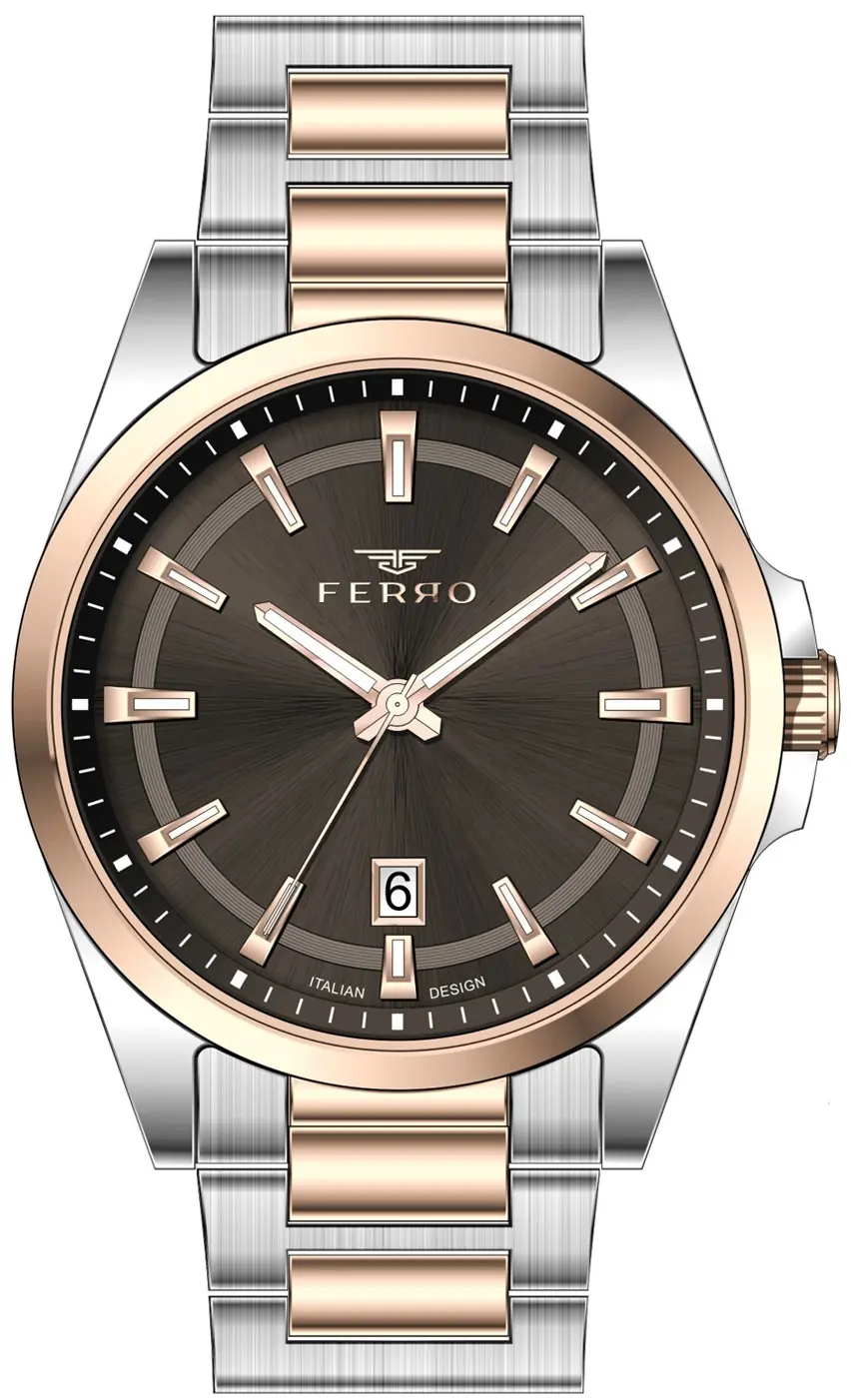 Ceas bărbătesc Ferro - F11778AWT-E19