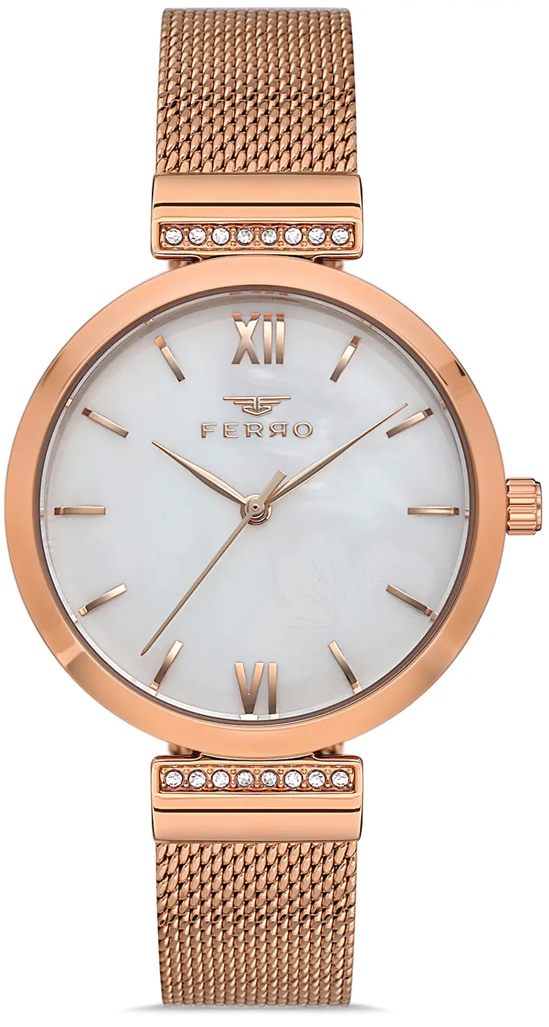 Ceas de damă Ferro - F21209C-C