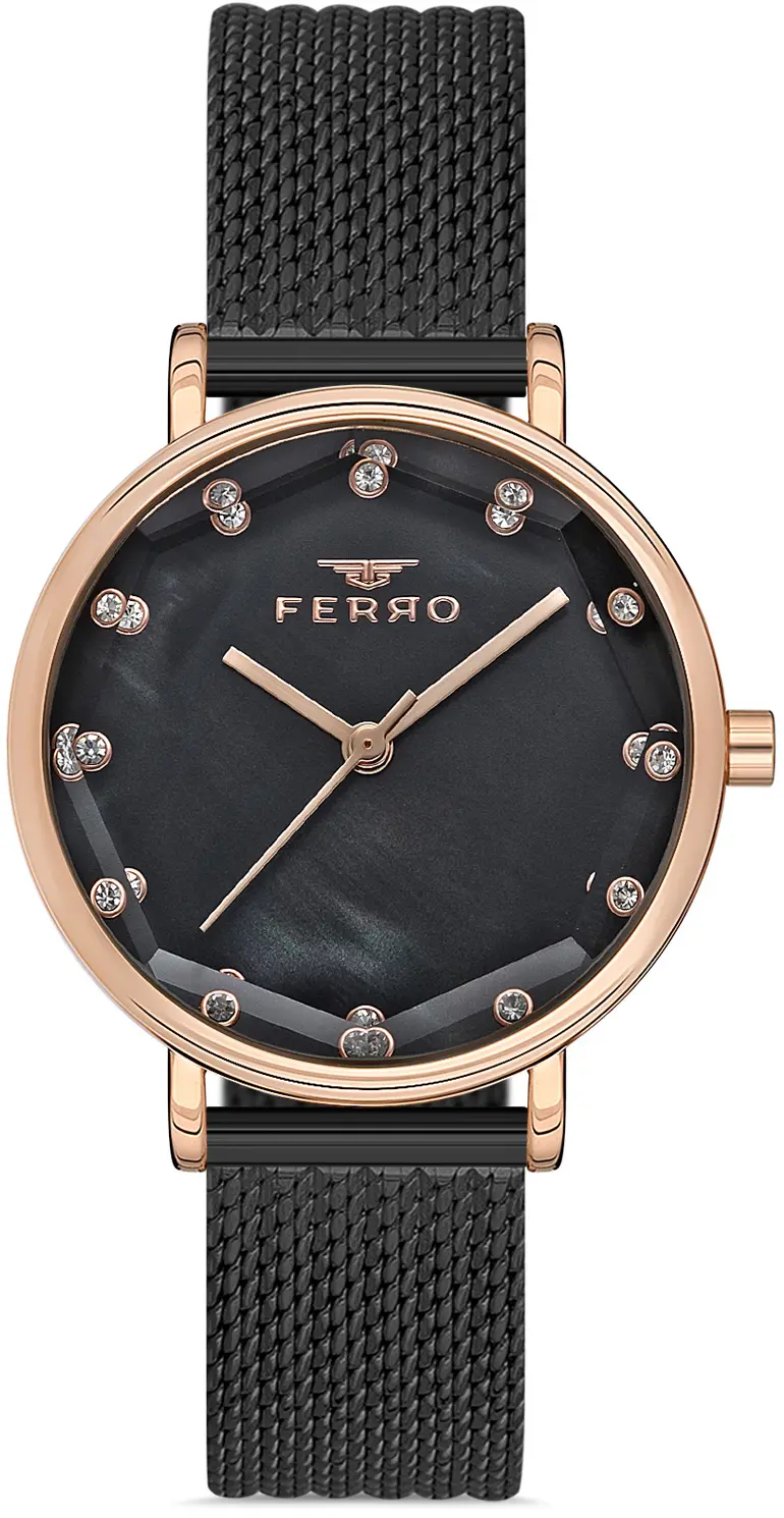 Γυναικείο ρολόι Ferro - F21221C-R