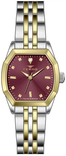 Γυναικείο ρολόι Ferro - FL21870A-D8