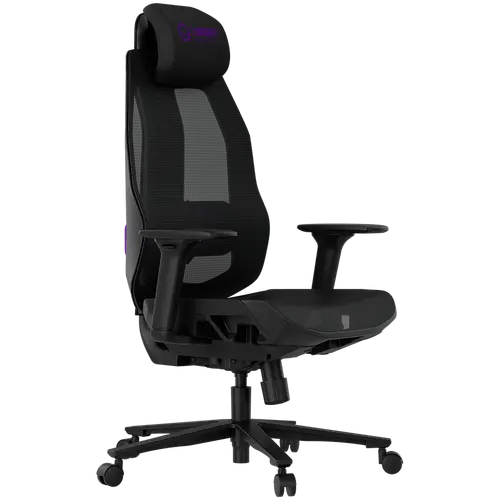 LORGAR CHP51 Mesh Gaming καρέκλα Pro πολυρυθμιζόμενη μαύρο/μωβ - 4