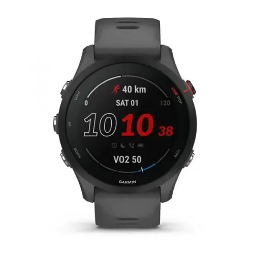 Garmin Forerunner® 255, Slate Gray 010-02641-10 - image 1