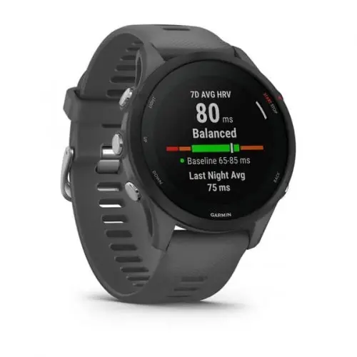 Garmin Forerunner® 255, Slate Gray 010-02641-10 - image 2