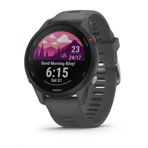 Garmin Forerunner® 255, Slate Gray 010-02641-10